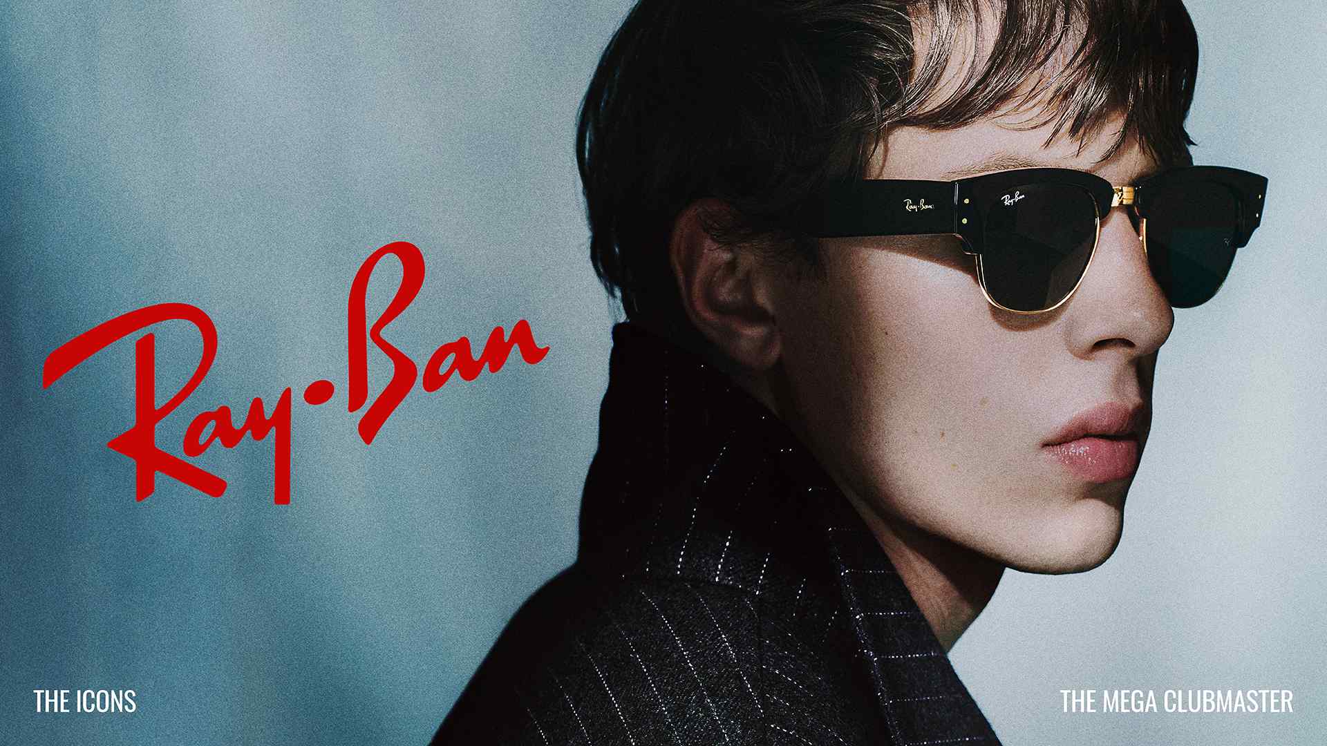 Ray-Ban solglasögon RB0316